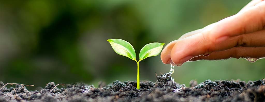 Plásticos sostenibles: el camino hacia la refrigeración verde en 2025 - imagen 2