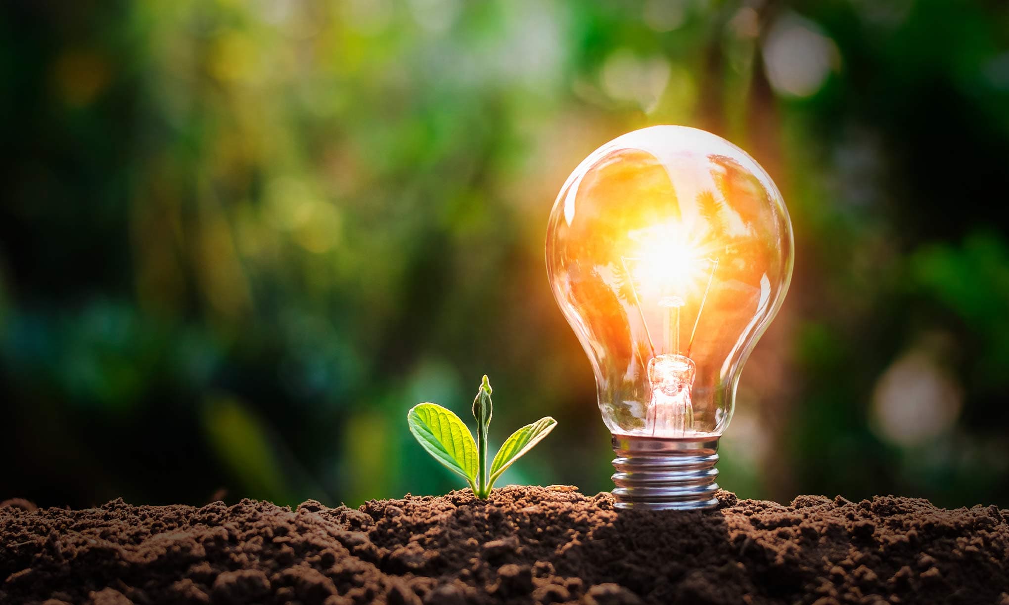 Eficiencia energética en refrigeración comercial: cómo los materiales plásticos hacen la diferencia